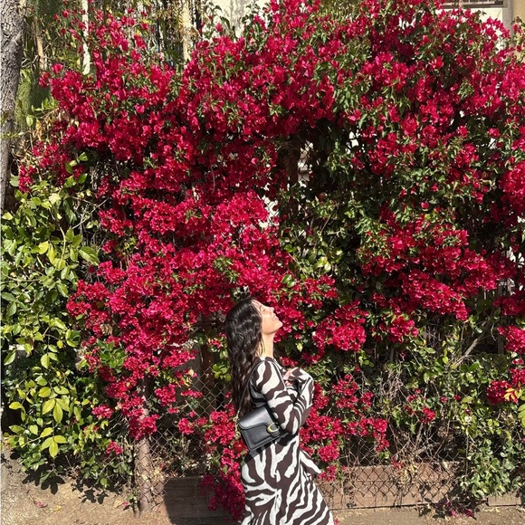 Coach Tabby 26 - Picture 2 of 2